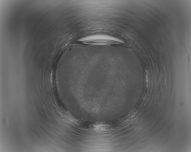 X0000058760268200510171207
