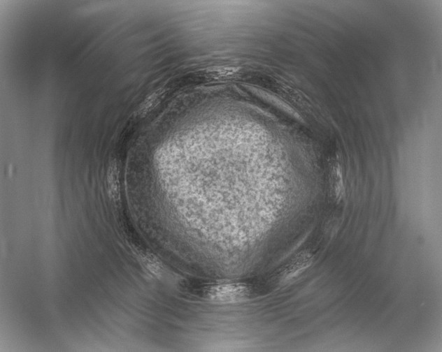 X0000058760274200510171207