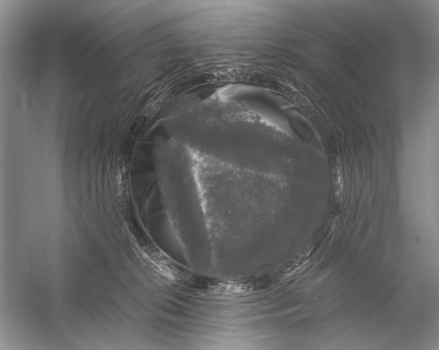 X0000058760276200510171207