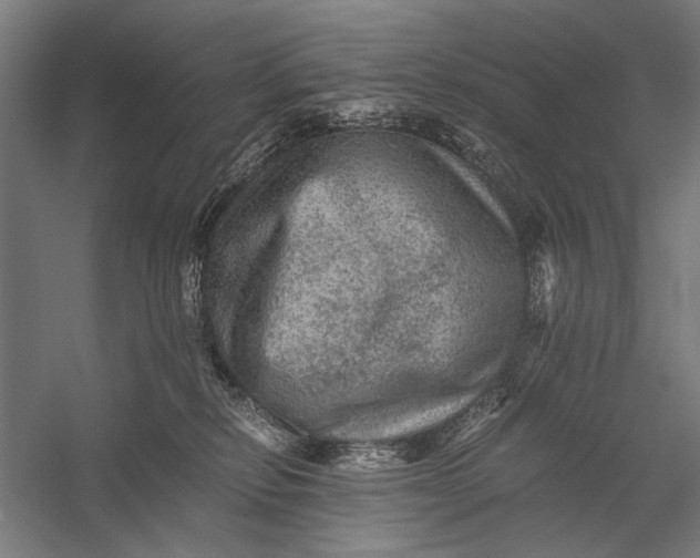 X0000058760278200510171207