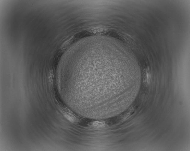 X0000058760279200510171207