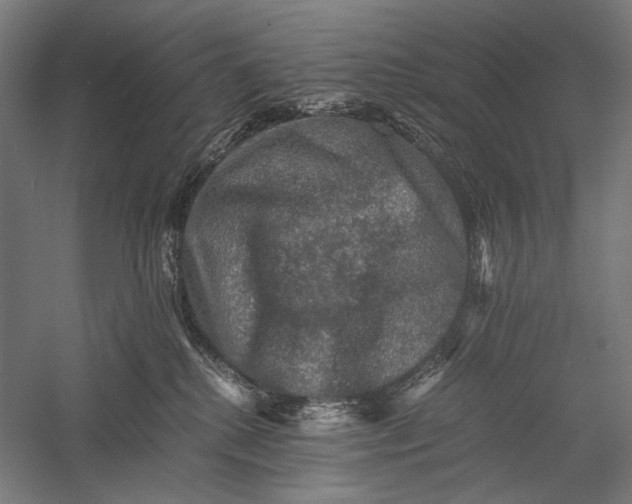 X0000058760280200510171207