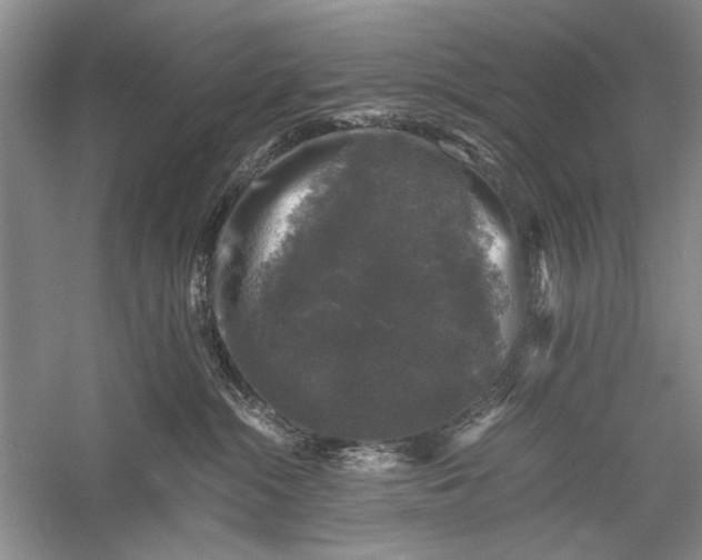 X0000058760284200510171207
