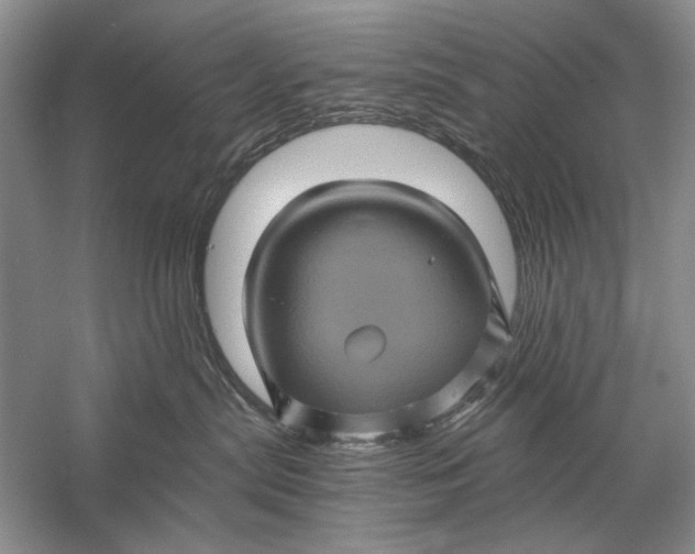 X0000058760287200510171207