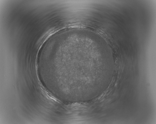X0000058760290200510171206