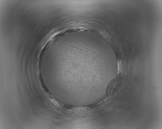 X0000058760291200510171206