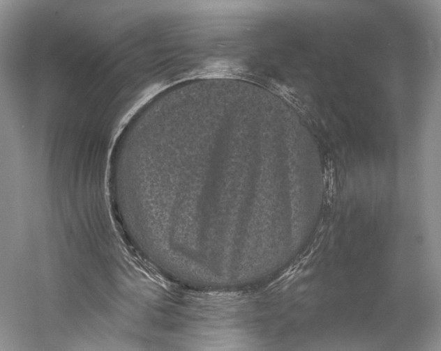 X0000058760292200510171206