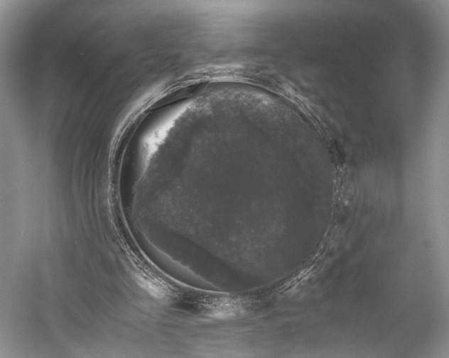 X0000058760293200510171206