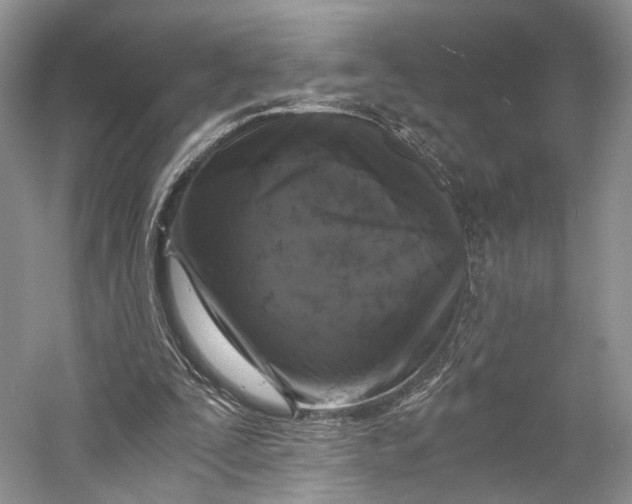 X0000058760295200510171206
