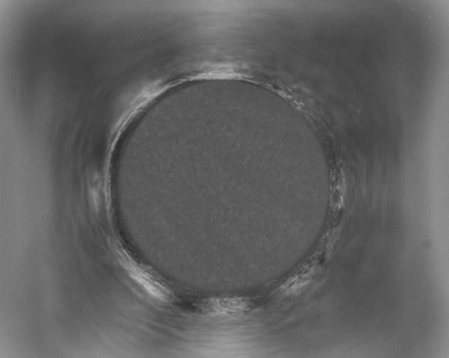 X0000058760296200510171206