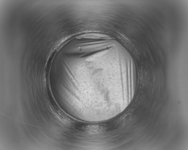 X0000058760298200510171206