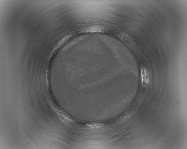 X0000058760300200510171206