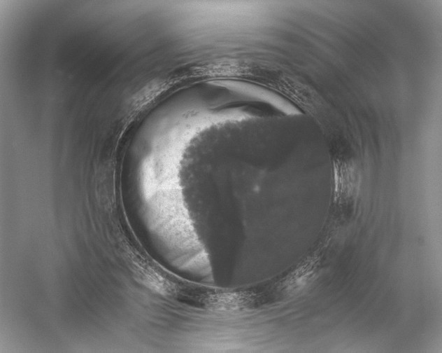 X0000058760301200510171206