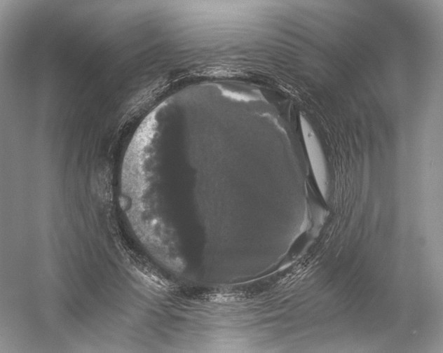 X0000058760303200510171206