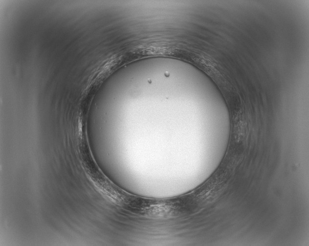 X0000058760310200510171206