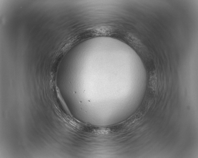 X0000058760318200510171206