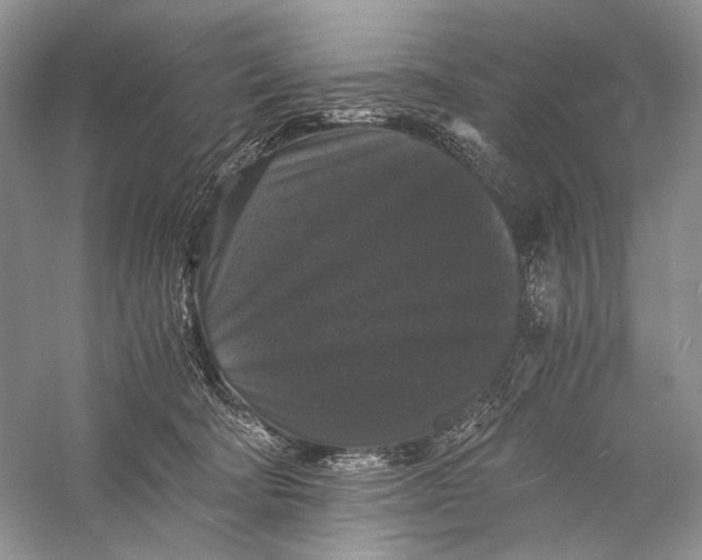 X0000058760322200510171206
