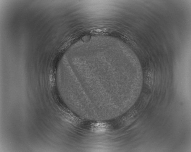 X0000058760324200510171206