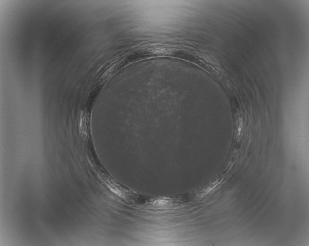 X0000058760325200510171206