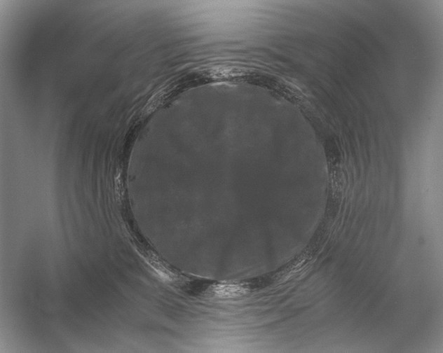 X0000058760327200510171206