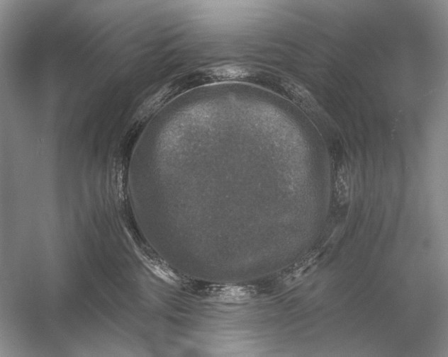 X0000058760330200510171206