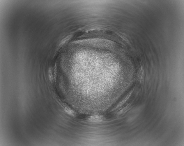 X0000058760335200510171206