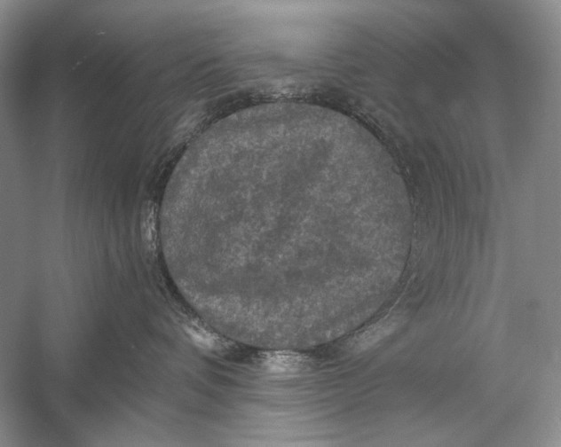 X0000058760336200510171206