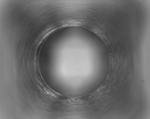 X0000058760338200510171205