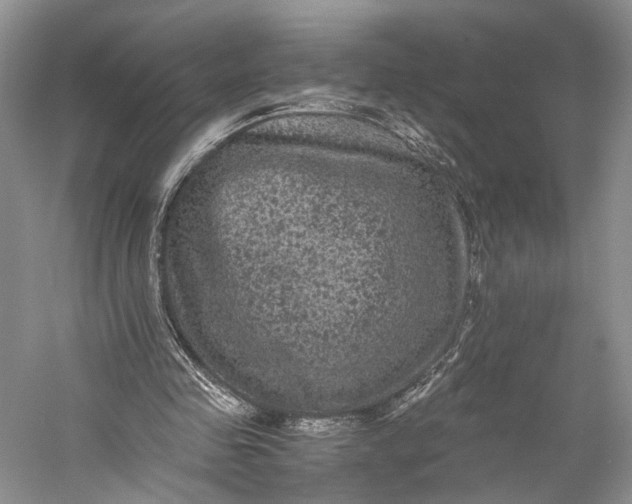 X0000058760341200510171205