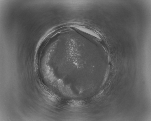 X0000058760343200510171205