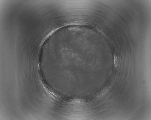 X0000058760348200510171205