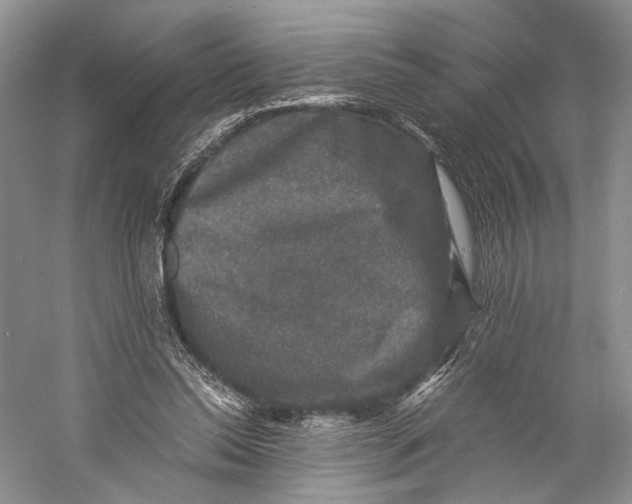 X0000058760350200510171205