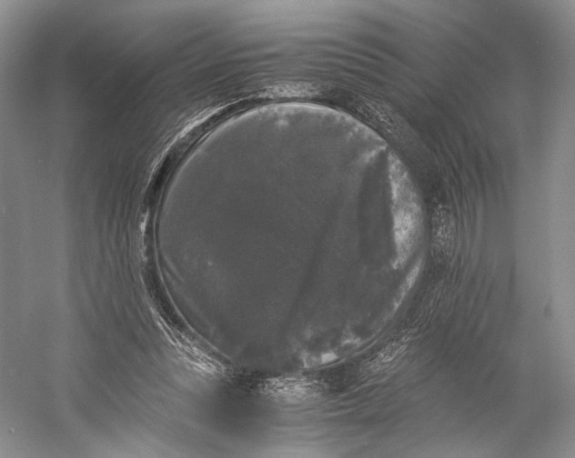 X0000058760351200510171205