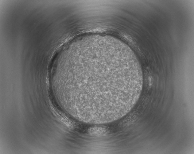 X0000058760354200510171205