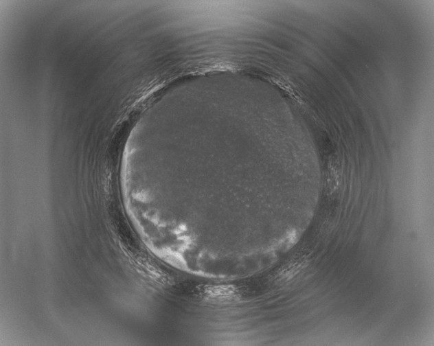 X0000058760355200510171205