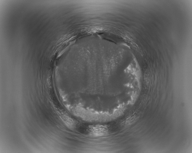 X0000058760359200510171205