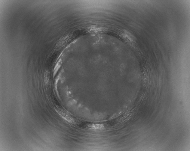 X0000058760361200510171205