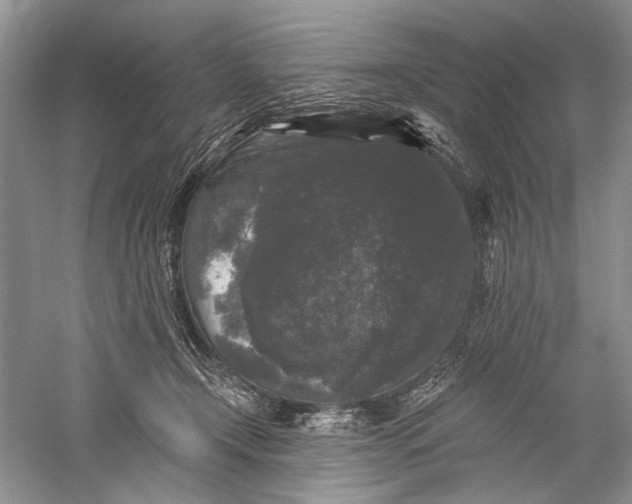 X0000058760366200510171205