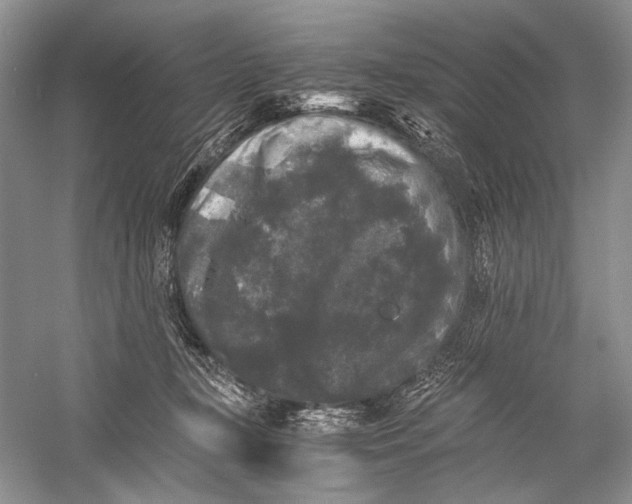 X0000058760367200510171205