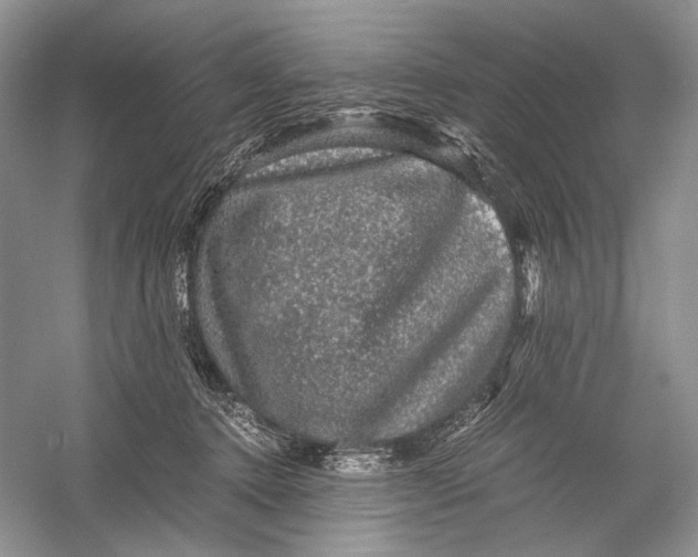 X0000058760368200510171205