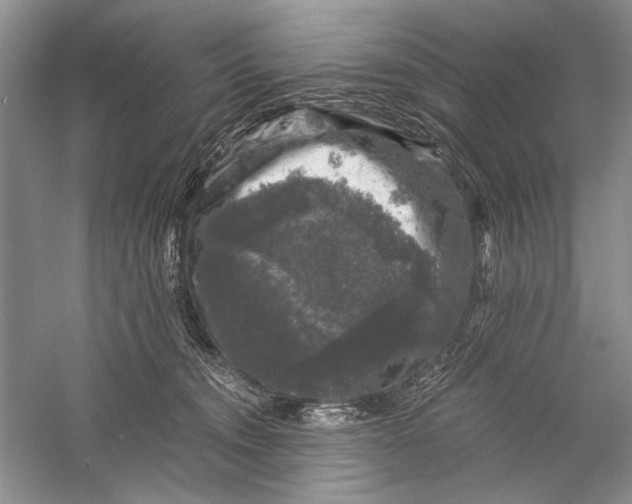 X0000058760372200510171205