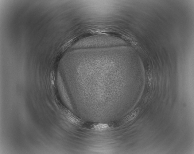 X0000058760374200510171205