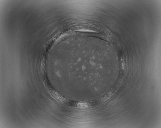X0000058760376200510171205