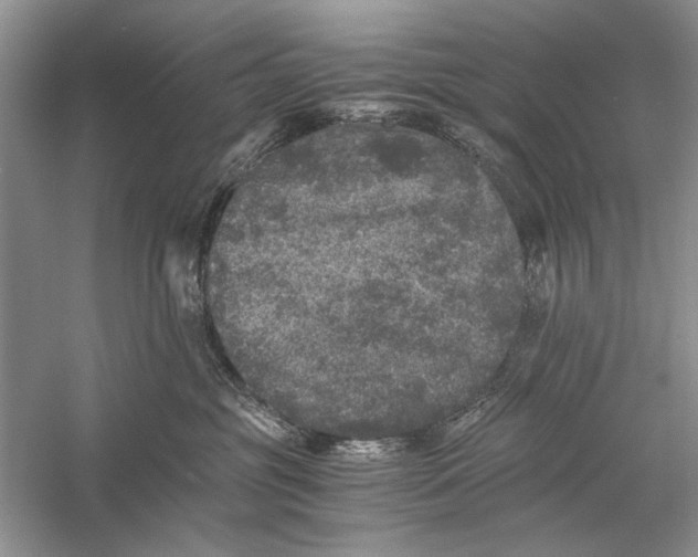 X0000058760381200510171206