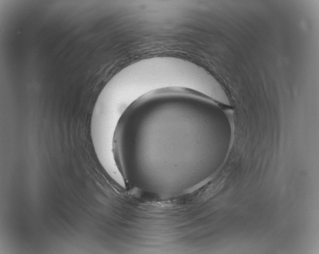 X0000058760384200510171206