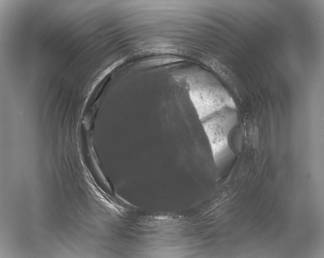 X0000058760390200510171205