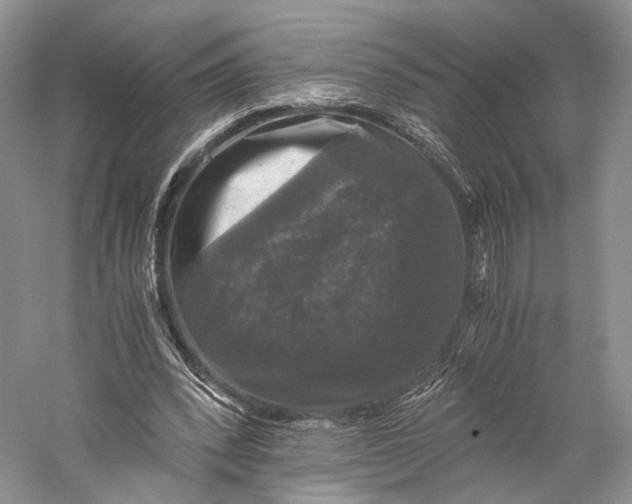 X0000058760392200510171205