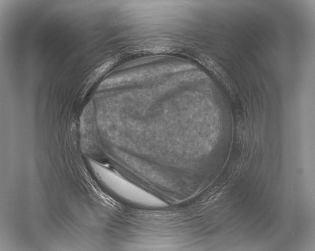 X0000058760393200510171205