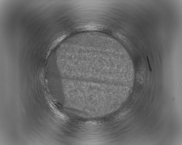 X0000058760394200510171205