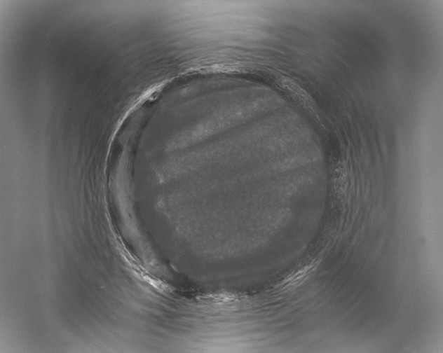 X0000058760395200510171205